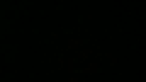 weeskank online show from 5, 10, 2025