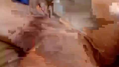 welldny online show from 25, 10, 2025