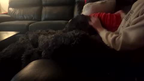 wellocal online show from 21, 12, 2025