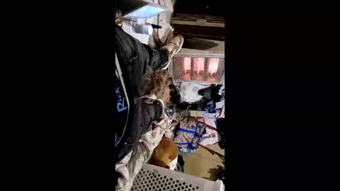 Snapshot of weloveeachothersrizz chatting on 7, 1, 2026 weloveeachothersrizz online show from 7, 1, 2026