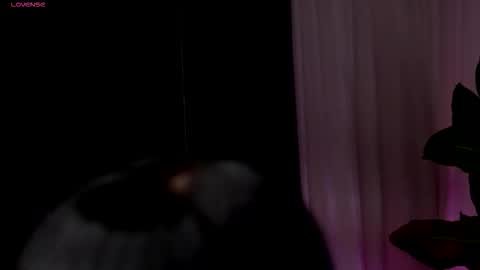 Wendy online show from 13, 2, 2026