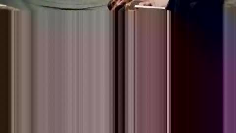 Breedee Boy online show from 24, 12, 2024