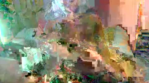 lucy online show from 15, 11, 2025