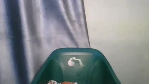 wetfatpussy_ online show from 12, 2, 2026