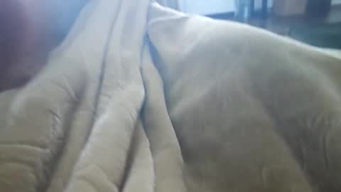 Snapshot of what_whaaat chatting on 3, 11, 2025 what_whaaat online show from 3, 11, 2025