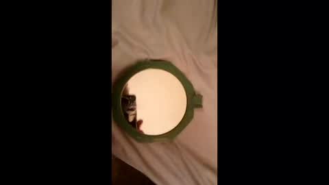 whetedoyouwantmetoputit online show from 22, 3, 2026