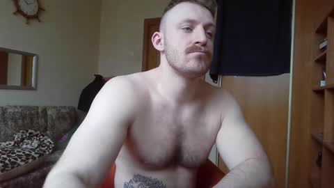 WhiteBull online show from 2, 3, 2026