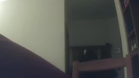 Snapshot of whiteduke81 chatting on 6, 12, 2024 Whiteduke online show from 6, 12, 2024