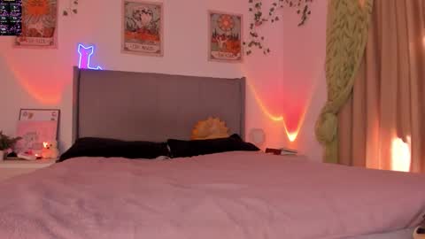 Kitty online show from 19, 12, 2025