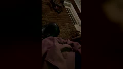 whiteshaveduke online show from 11, 2, 2026