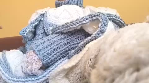 whitesweater online show from 23, 3, 2026