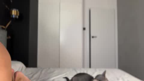 Snapshot of why_____not chatting on 2, 10, 2025 Alice online show from 2, 10, 2025