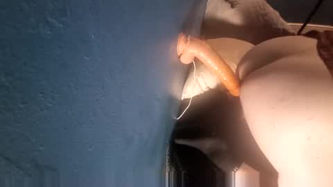 wilba9855 online show from 12, 1, 2026