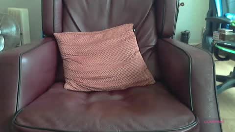 Snapshot of wilbert31 chatting on 16, 6, 2026 wilbert online show from 16, 6, 2026