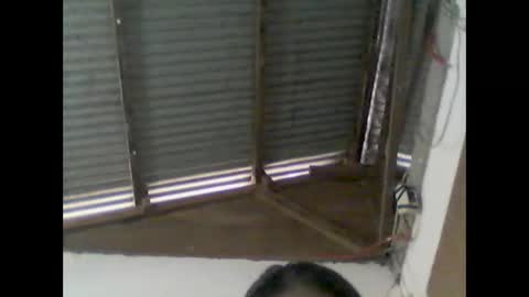 wild984501 online show from 11, 1, 2025