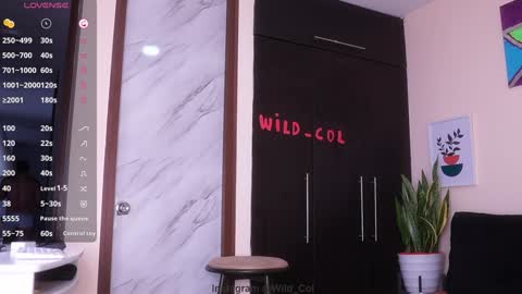 wild_col online show from 17, 12, 2024