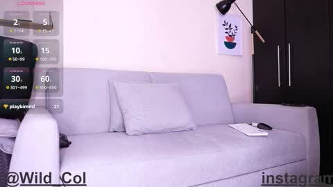 wild_col online show from 16, 9, 2025