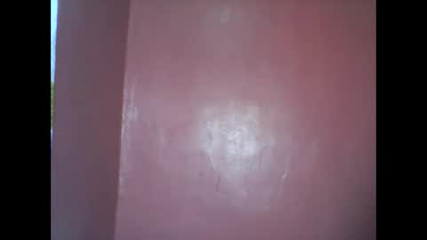 wild_sunflower11 online show from 8, 12, 2024