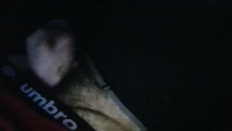 WildeAlex online show from 17, 10, 2025