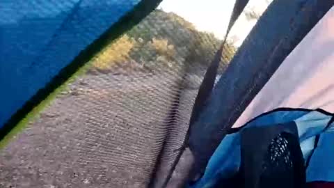 Snapshot of wildernessgoddess chatting on 14, 11, 2025 wildernessgoddess online show from 14, 11, 2025