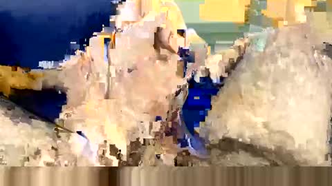 Snapshot of wildhon chatting on 8, 3, 2025 Wildhon online show from 8, 3, 2025