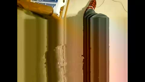 wildman2900 online show from 29, 12, 2024