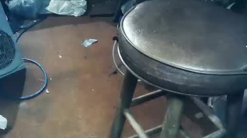 wildman6 online show from 11, 10, 2025