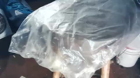 wildman6 online show from 2, 11, 2025