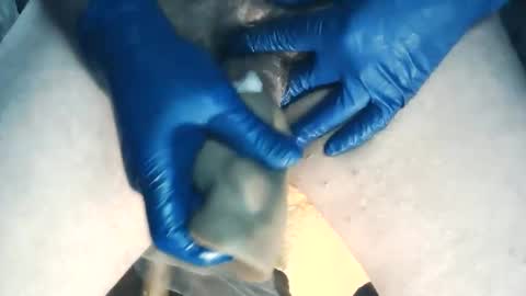 wildman6 online show from 7, 11, 2025