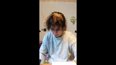 WildPersia online show from 10, 2, 2026