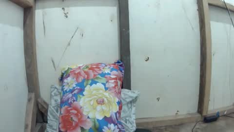 wildpoohkhaye online show from 2, 4, 2026