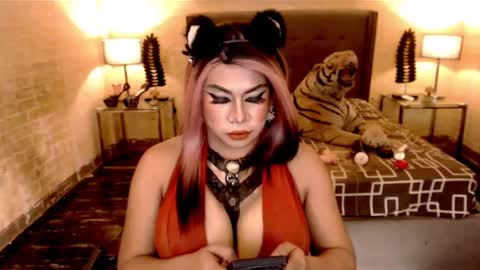 wildtransjhade online show from 19, 1, 2025