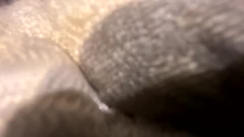 Snapshot of wiley0520 chatting on 27, 10, 2025 wiley0520 online show from 27, 10, 2025