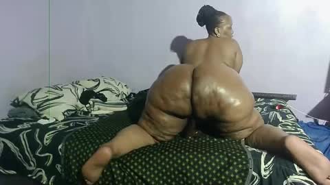 wilmaassylum online show from 24, 1, 2025