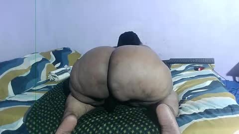 wilmaassylum online show from 5, 2, 2025