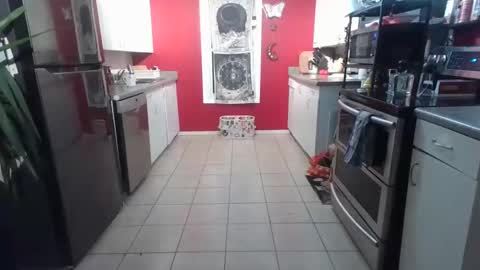 winebottle24 online show from 1, 1, 2025