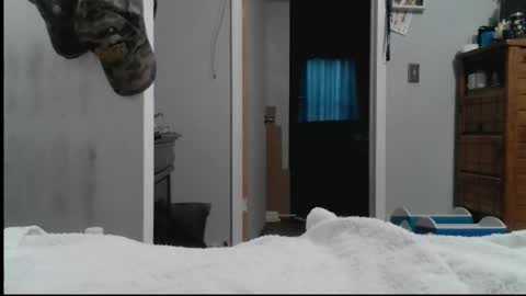 wisheyeknew2 online show from 16, 3, 2026