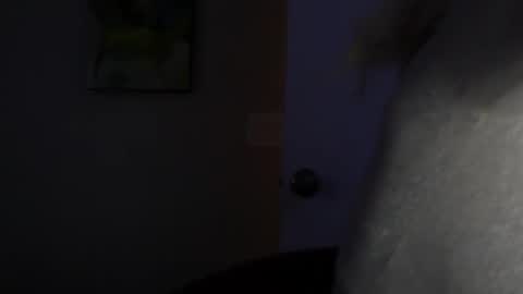 Snapshot of wishgoddes chatting on 12, 11, 2025 WishGoddes online show from 12, 11, 2025