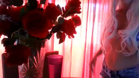 WishGoddes online show from 25, 5, 2026