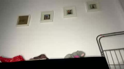 witalos online show from 5, 1, 2026