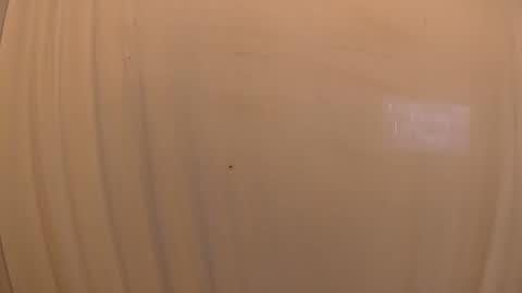 Mater online show from 19, 10, 2025