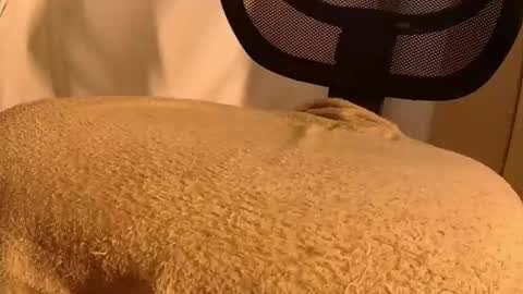 Mater online show from 14, 11, 2025