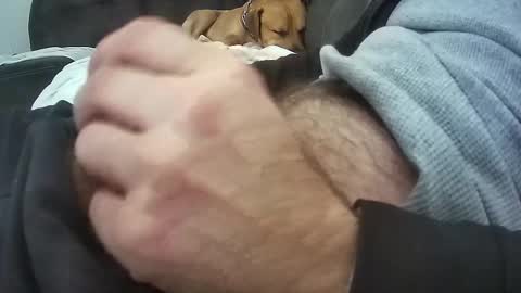 wmasolutions2020 online show from 16, 3, 2026