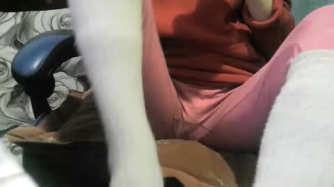 wolfxsnow online show from 28, 2, 2026