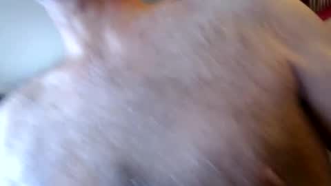 WoodieSays online show from 17, 1, 2026