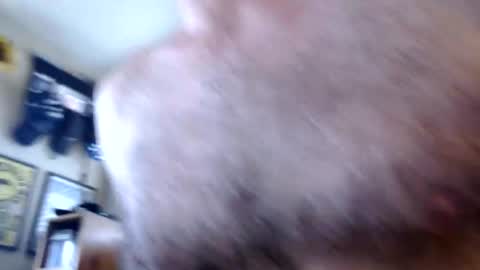 WoodieSays online show from 13, 2, 2026