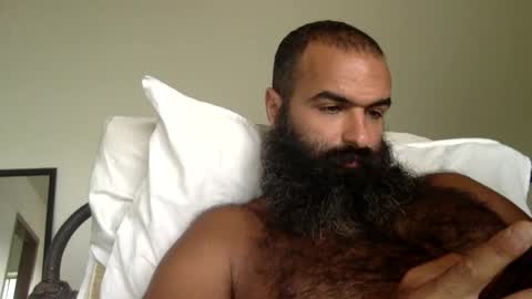 woof_wolf37 online show from 2, 10, 2025