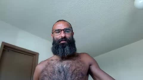 woof_wolf37 online show from 10, 6, 2026