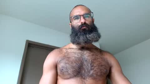 woof_wolf37 online show from 23, 6, 2026