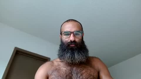 woof_wolf37 online show from 3, 7, 2026